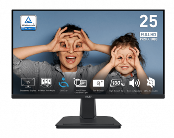 25 MSI PRO MP251 FHD 1MS 100HZ FLAT IPS 