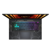 MSI CYBORG 17 B13WGKG-251XTR INTEL CORE I7-13620H